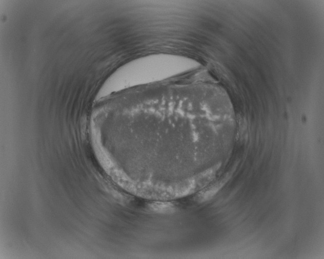 X0000065230189200603101603