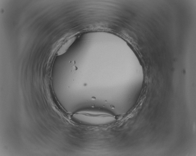 X0000065230193200603101603