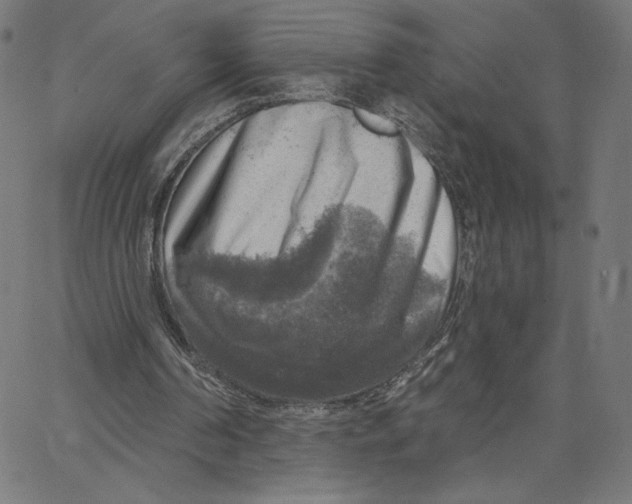 X0000065230194200603101603