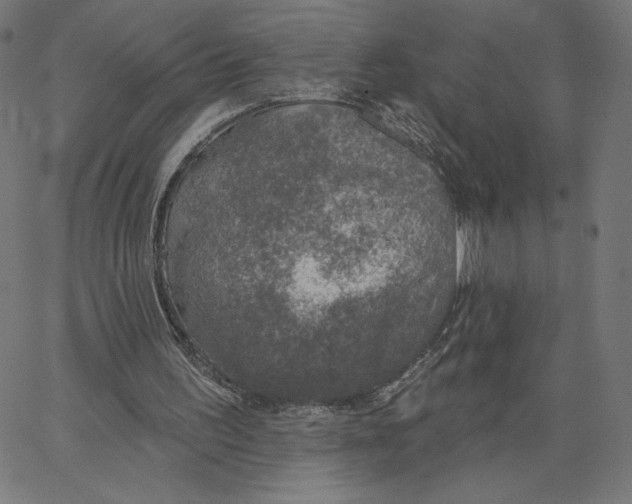 X0000065230195200603101603