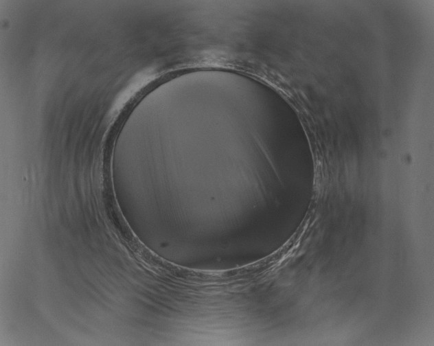 X0000065230200200603101603