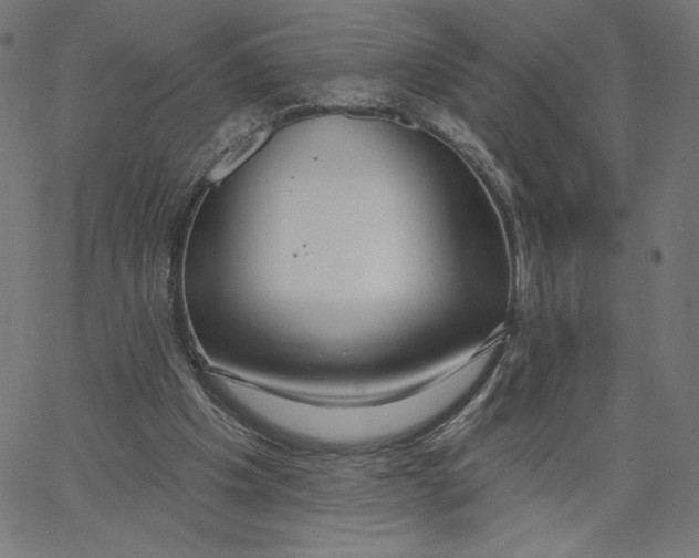 X0000065230201200603101603