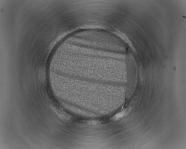 X0000065230204200603101602
