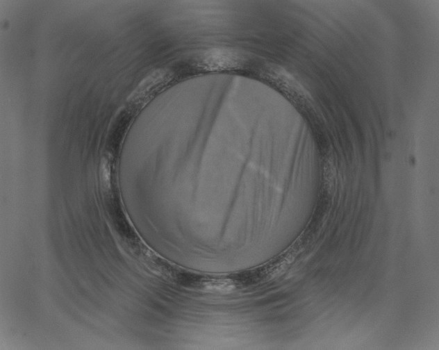 X0000065230214200603101602