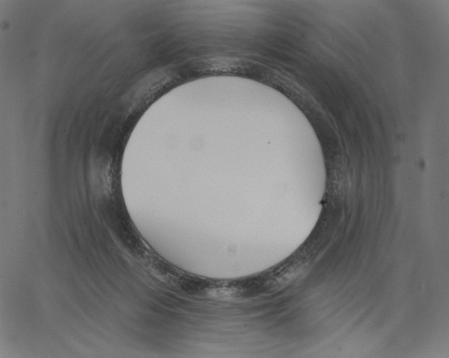 X0000065230216200603101602