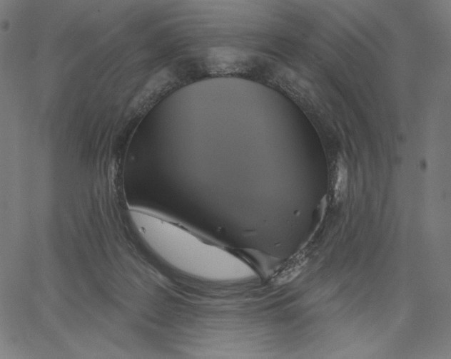 X0000065230219200603101602