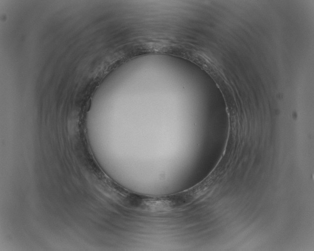 X0000065230221200603101602