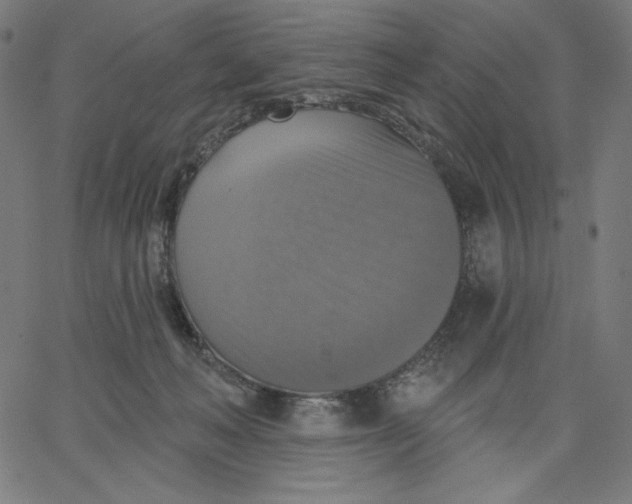 X0000065230222200603101602
