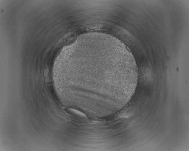 X0000065230224200603101602