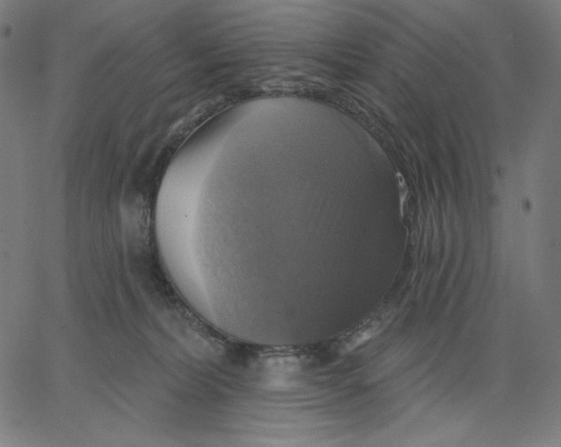 X0000065230228200603101602