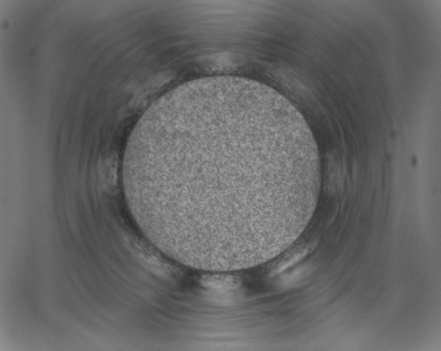 X0000065230230200603101602