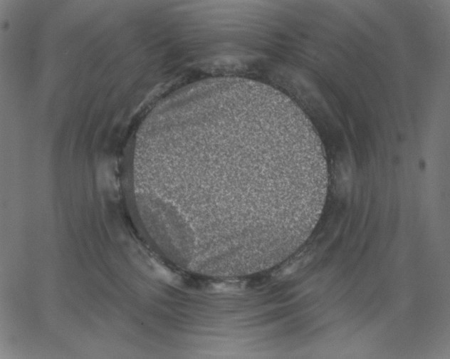 X0000065230232200603101602