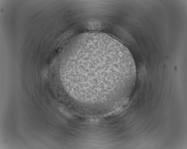 X0000065230233200603101602