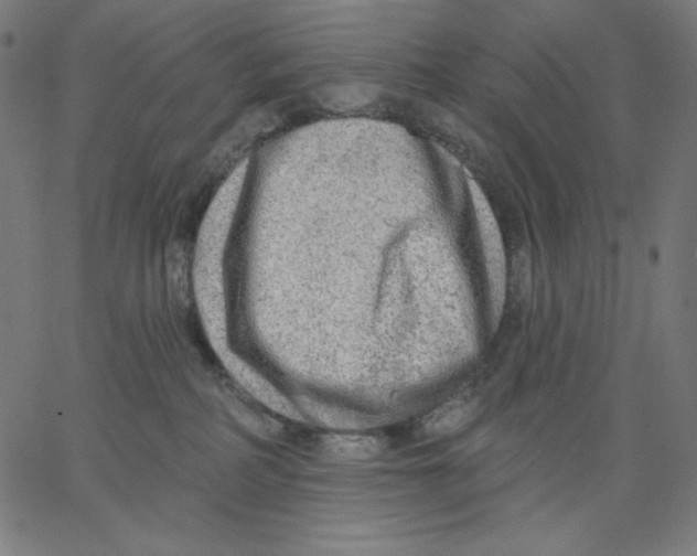 X0000065230234200603101602
