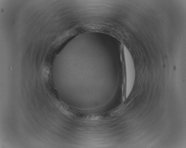 X0000065230235200603101602