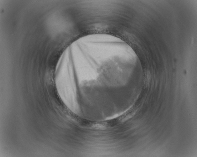 X0000065230236200603101602