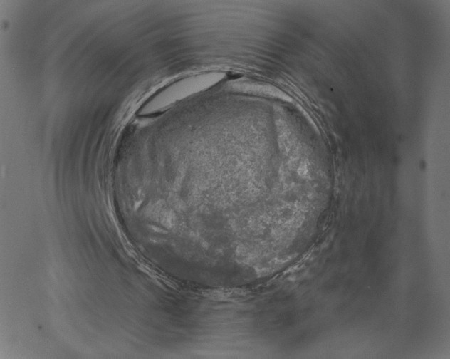X0000065230241200603101601