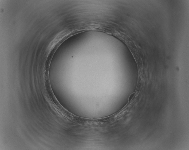X0000065230242200603101601