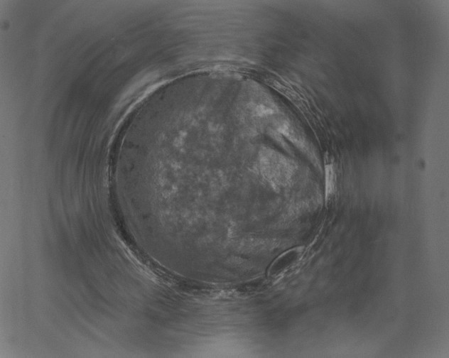 X0000065230243200603101601