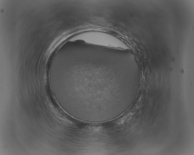 X0000065230247200603101601