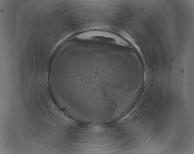 X0000065230249200603101601