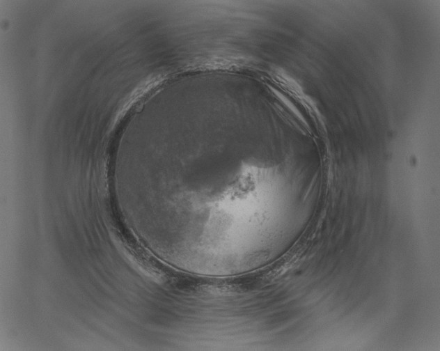 X0000065230250200603101601