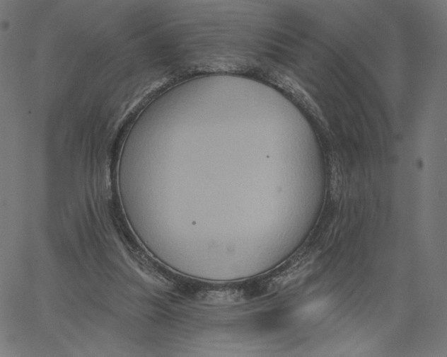 X0000065230251200603101601