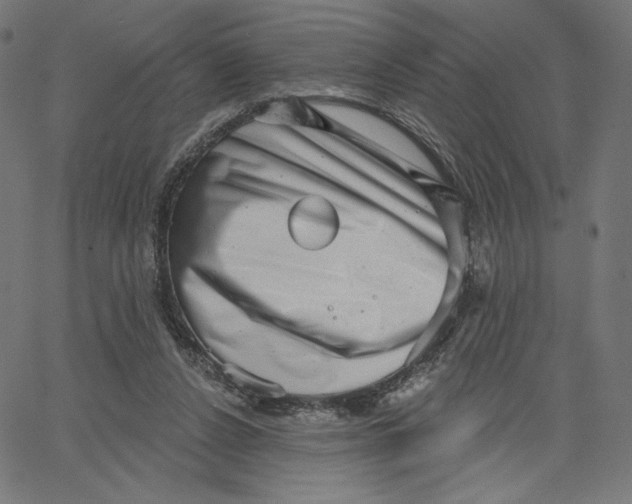 X0000065230256200603101601