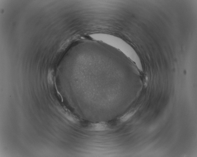 X0000065230286200603101602