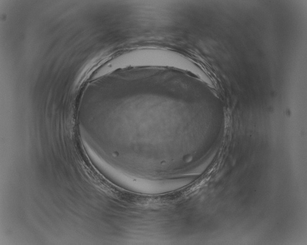 X0000065230293200603101601