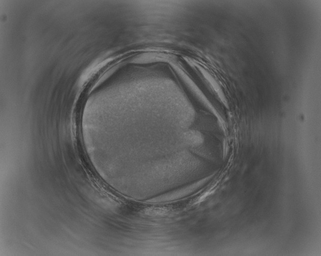 X0000065230294200603101601