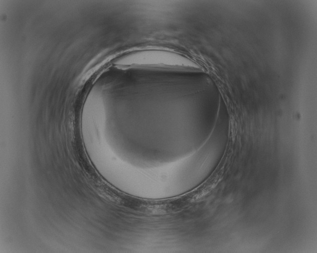 X0000065230295200603101601