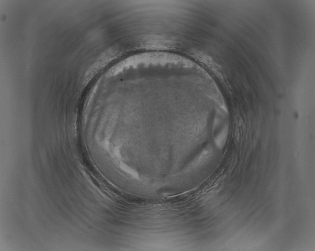 X0000065230299200603101601