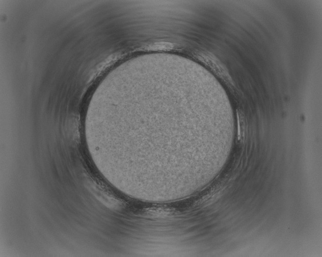 X0000065230300200603101601