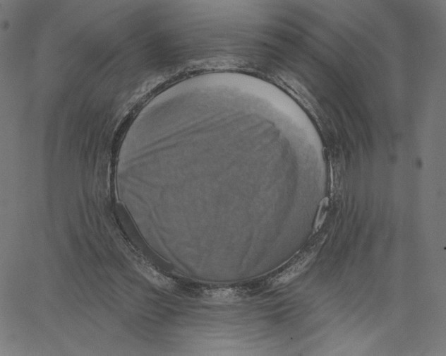 X0000065230301200603101601