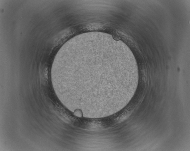 X0000065230308200603101601
