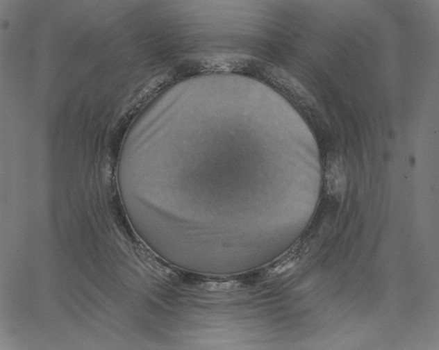 X0000065230314200603101601