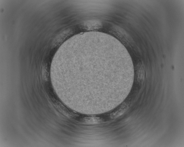 X0000065230316200603101601