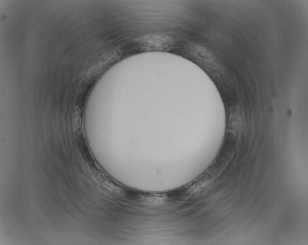 X0000065230318200603101601