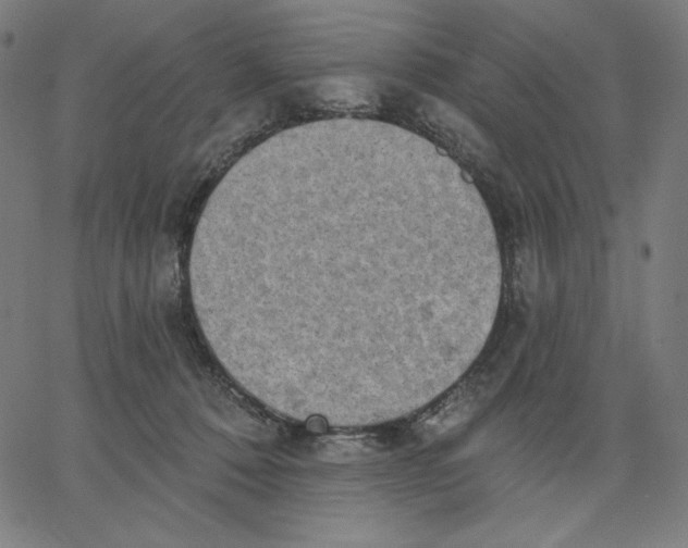 X0000065230320200603101601