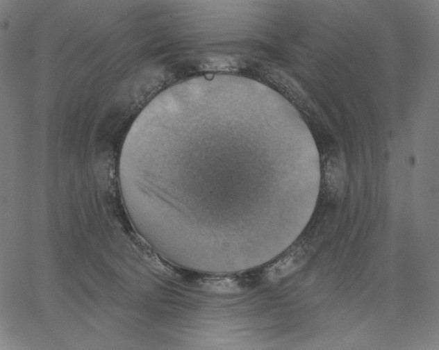 X0000065230322200603101601