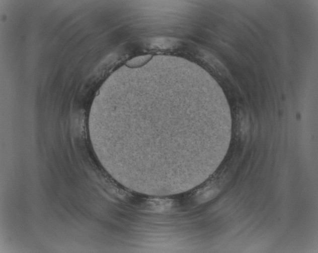 X0000065230328200603101600