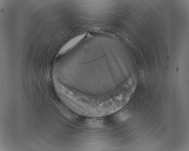 X0000065230331200603101600