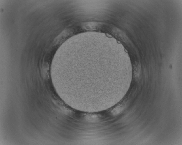 X0000065230332200603101600