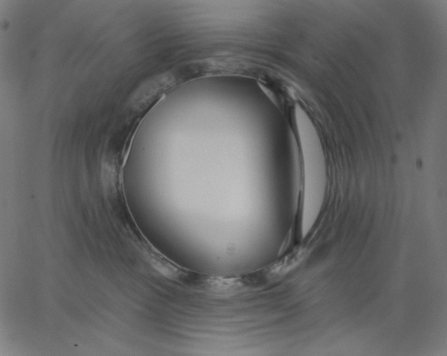 X0000065230333200603101600