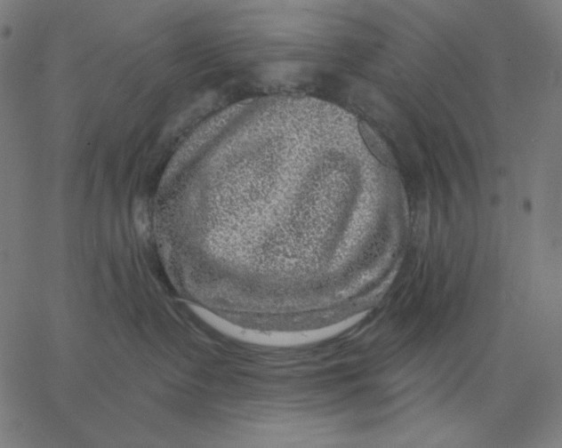 X0000065230335200603101600