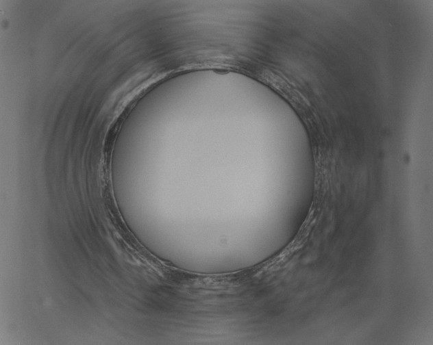 X0000065230338200603101600