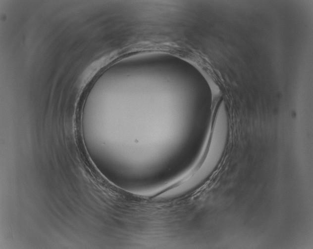 X0000065230340200603101600