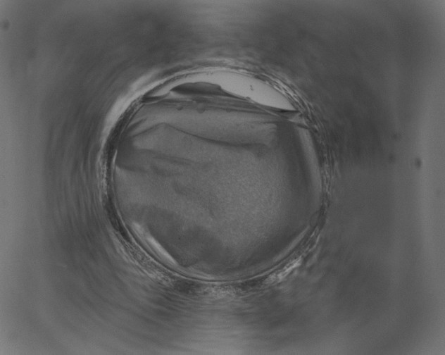 X0000065230343200603101600