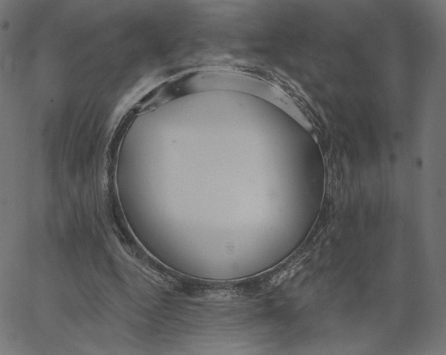 X0000065230344200603101600